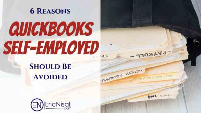 Quickbooks self-employed review